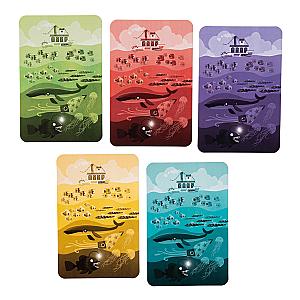 Все на Борт!