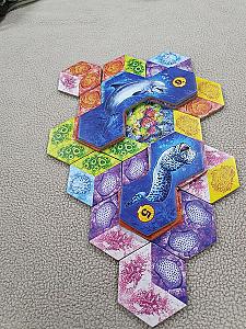 Aqua: Biodiversity in the oceans