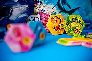 Aqua: Biodiversity in the oceans