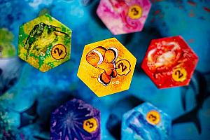 Aqua: Biodiversity in the oceans