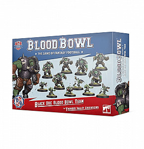 
                            Изображение
                                                                дополнения
                                                                «Blood Bowl (Second Season Edition): The Thunder Valley Greenskins – Black Orc Blood Bowl Team»
                        