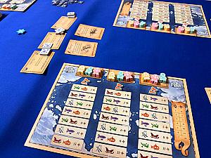 Borealis: Arctic Expeditions