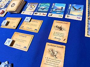 Borealis: Arctic Expeditions