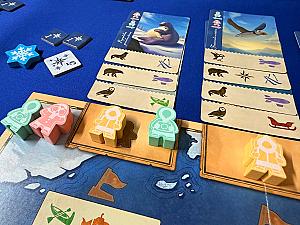 Borealis: Arctic Expeditions