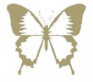 Butterfly (fan expansion for Hive)