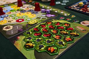 Castles of Burgundy: Special Edition
