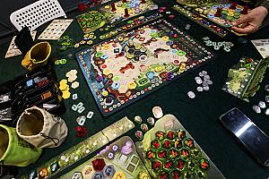 Castles of Burgundy: Special Edition