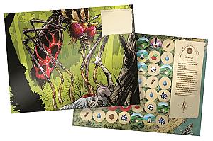 Корпус Открытий. Имаго