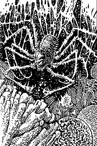 Внутренняя иллюстрация