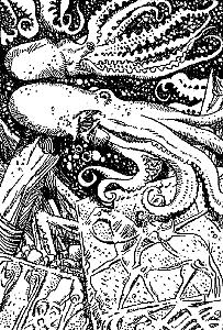 Внутренняя иллюстрация