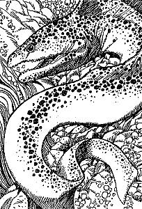 Внутренняя иллюстрация