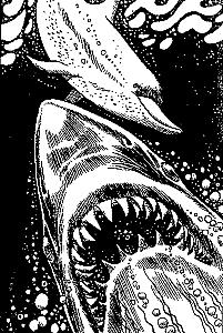 Внутренняя иллюстрация