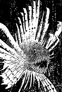 Внутренняя иллюстрация