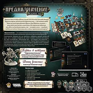 Предназначение. Ведьмин лес