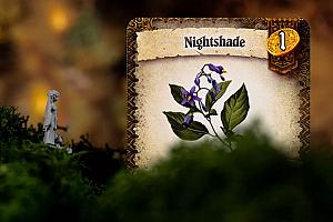 Предназначение. Ведьмин лес