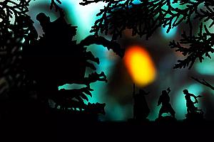 Предназначение. Ведьмин лес