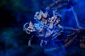 Предназначение. Ведьмин лес