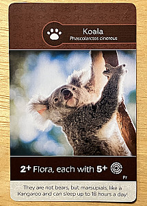 Earth: African Lion/Koala Promo Card