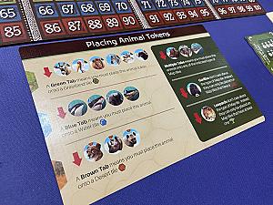 Экос. Первый континент