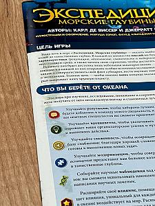 Пятна на правилах