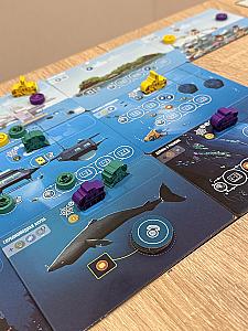 Экспедиция. Морские глубины