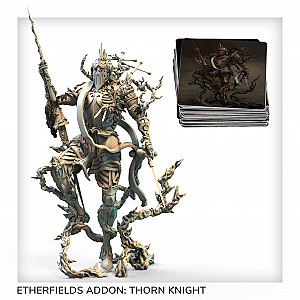 
                            Изображение
                                                                дополнения
                                                                «Etherfields: Thorn Knight»
                        