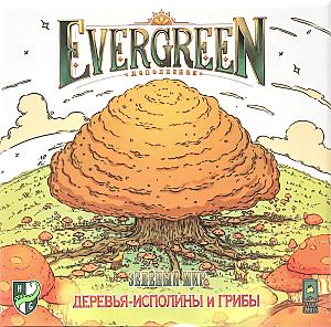
                            Изображение
                                                                дополнения
                                                                «Зелёный мир. Деревья-исполины и грибы»
                        