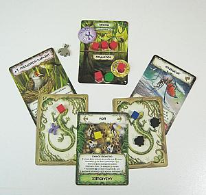 Эволюция. Новый мир. Круговорот