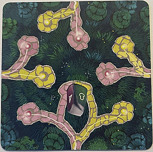 
                            Изображение
                                                                промо
                                                                «Fairy Trails: Menhir promo card»
                        