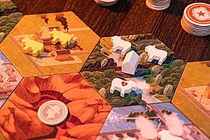 Фотограф Светлана Белова