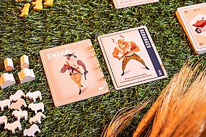 Фотограф Светлана Белова