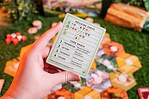 Фотограф Светлана Белова