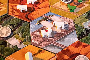 Фотограф Светлана Белова