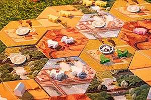 Фотограф Светлана Белова