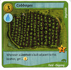 Fields of Green: Cabbages