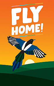 Fly Home!
