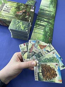 Смешанный лес