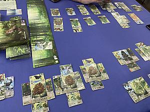 Смешанный лес