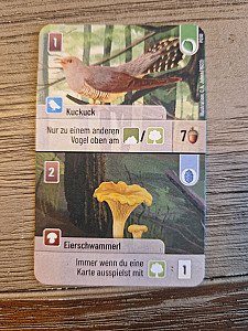 
                            Изображение
                                                                промо
                                                                «Forest Shuffle: Austrian Promo Card»
                        