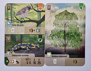 Forest Shuffle: Hobby Next Promo Cards