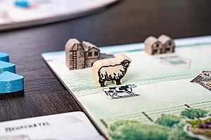 Фотограф Светлана Белова