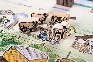 Фотограф Светлана Белова