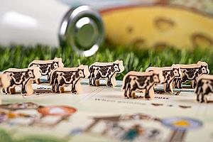 Фотограф Светлана Белова