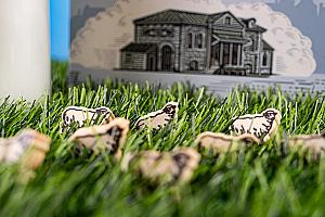 Фотограф Светлана Белова