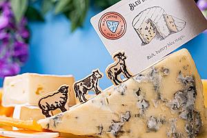 Фотограф Светлана Белова