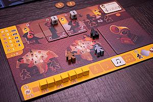 Фотограф Светлана Белова