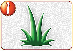 
                            Изображение
                                                                дополнения
                                                                «Karesansui: Weeds»
                        