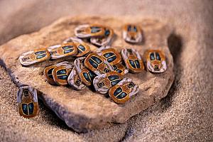 Фотограф Евгений Храмов