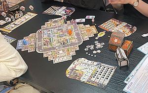 Котики Киото