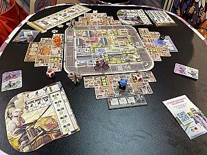 Котики Киото